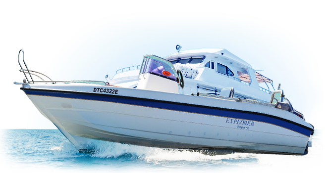 CC在线压力测试